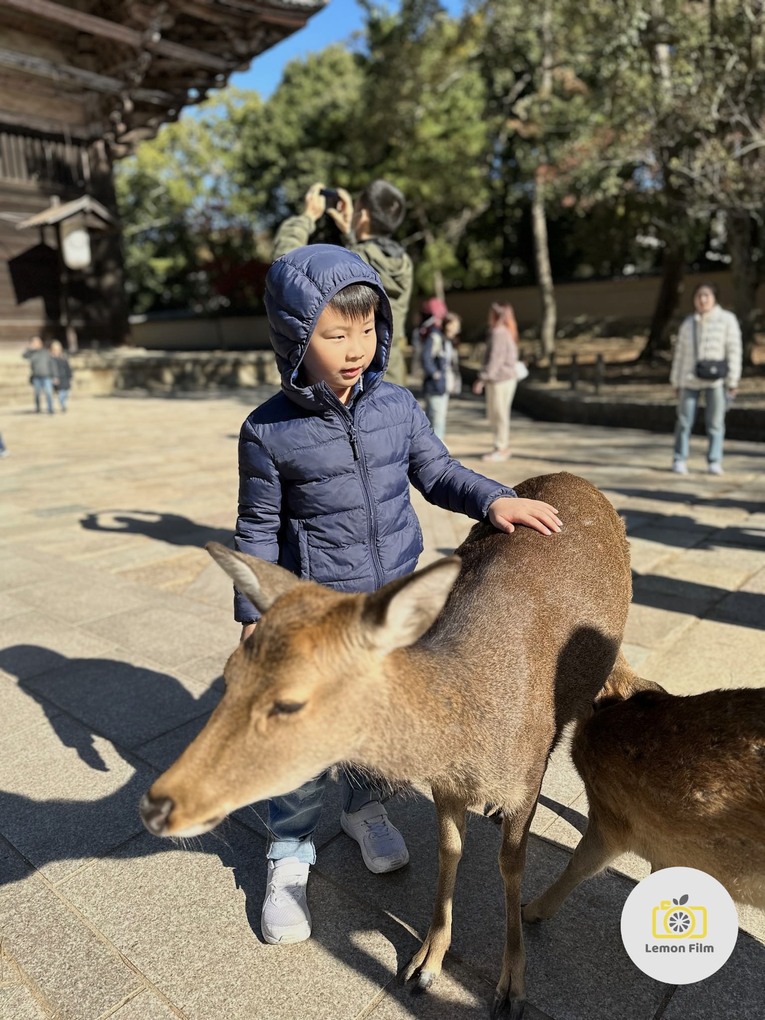 A Family Morning Adventure in Nara Park Osaka