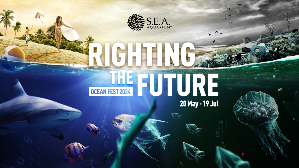 Ocean Fest 2024: S.E.A. Aquarium at Resorts World Sentosa Presents “Righting the Future”