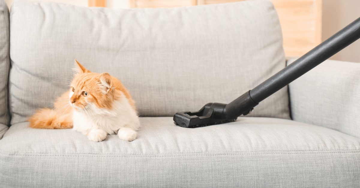 5 Common Vacuuming Mistakes to Avoid